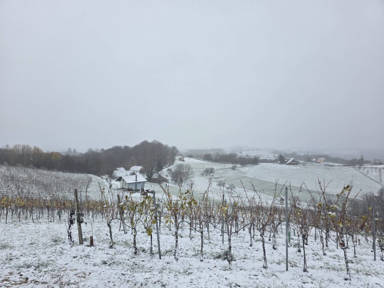 zima snijeg ceste (13)