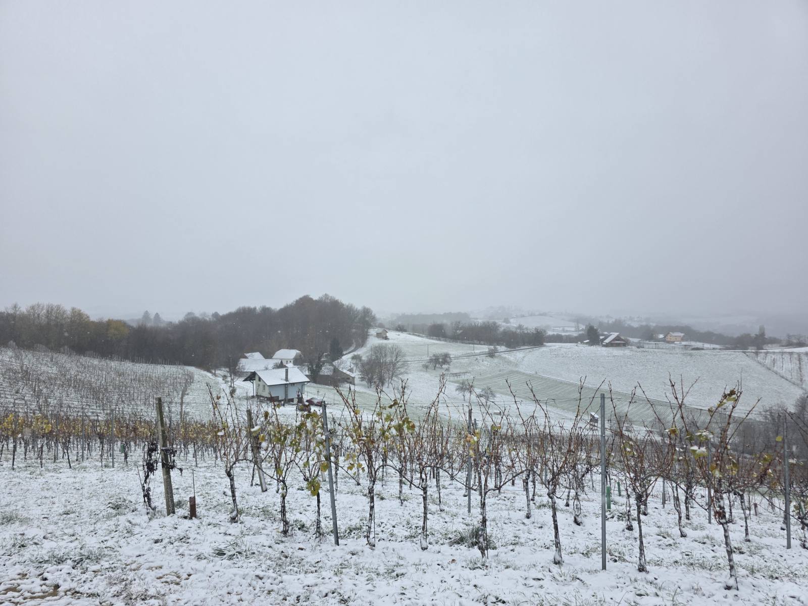 zima snijeg ceste (13)