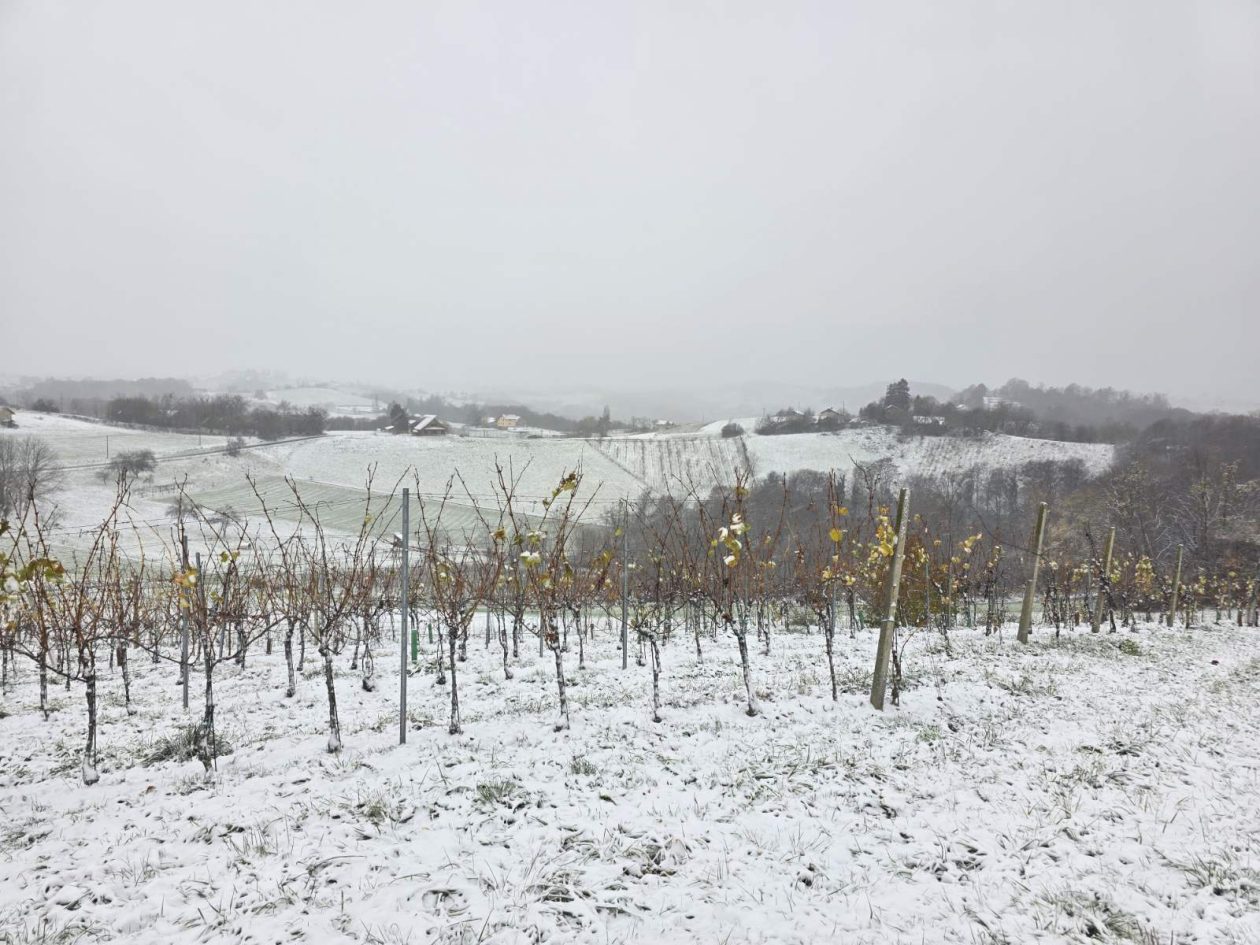 zima snijeg ceste (14)