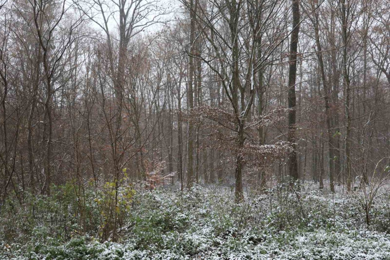 zima snijeg ceste (5)