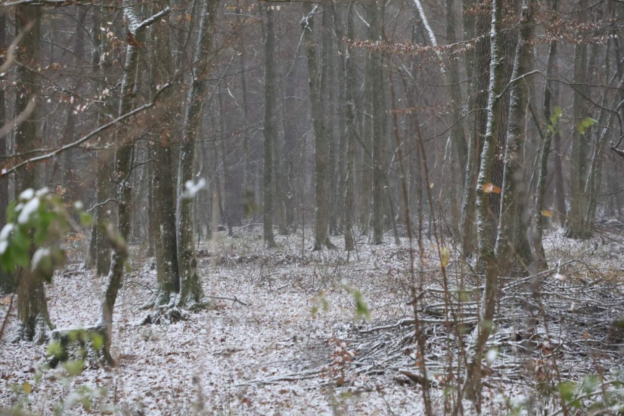 zima snijeg ceste (6)