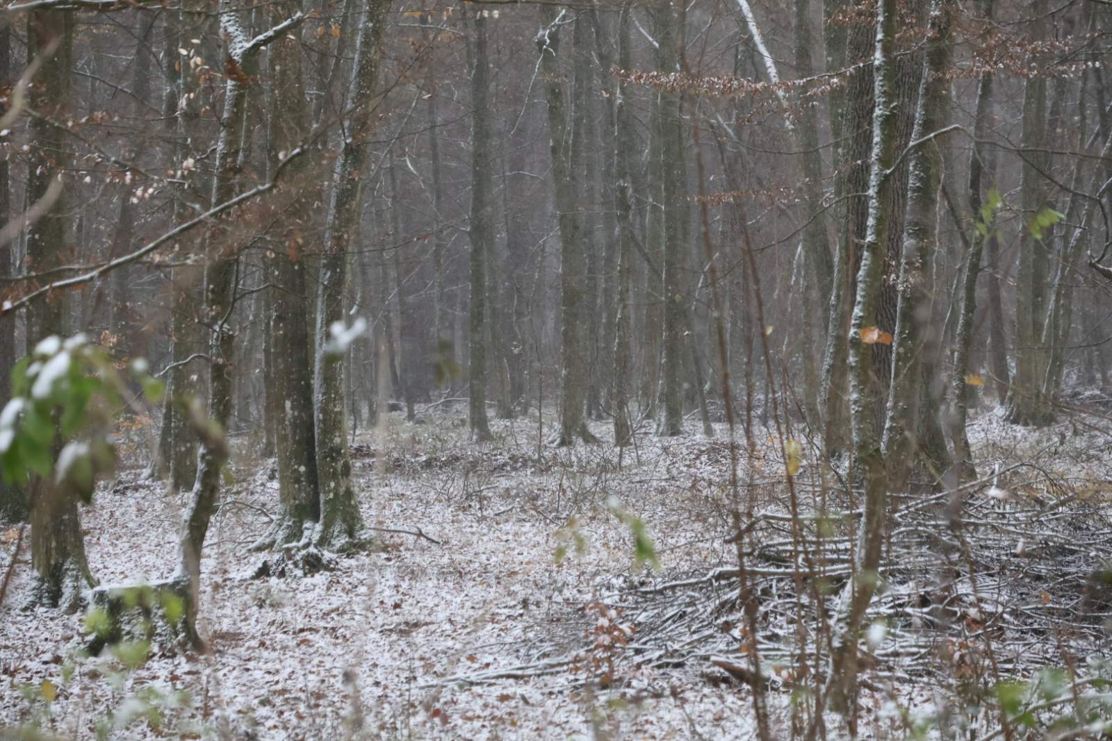 zima snijeg ceste (6)