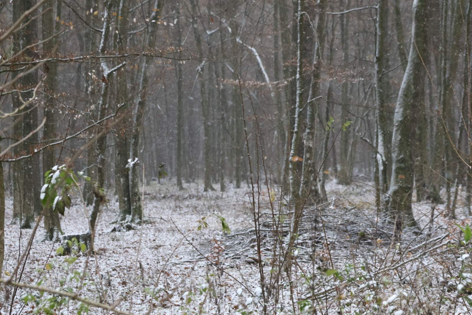 zima snijeg ceste (7)