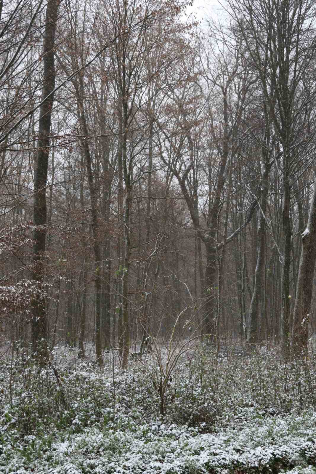 zima snijeg ceste (8)