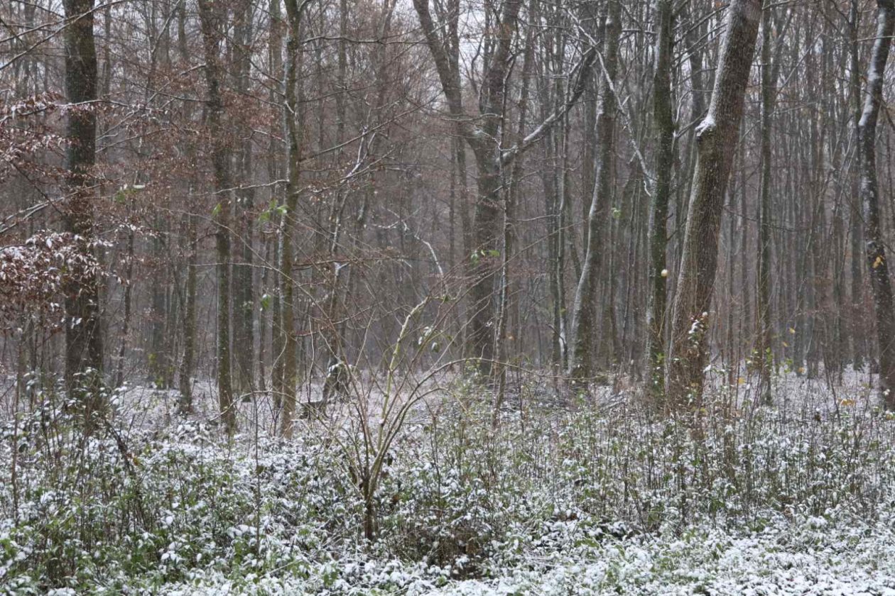 zima snijeg ceste (9)