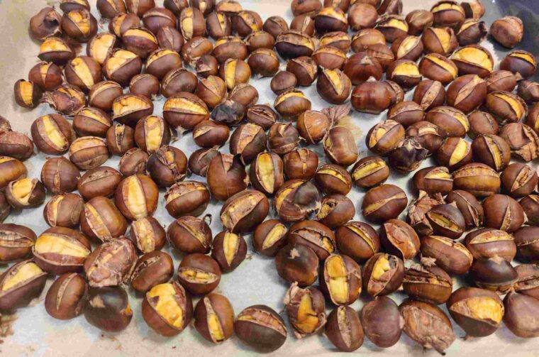 zimnica (2) kesteni kasteni