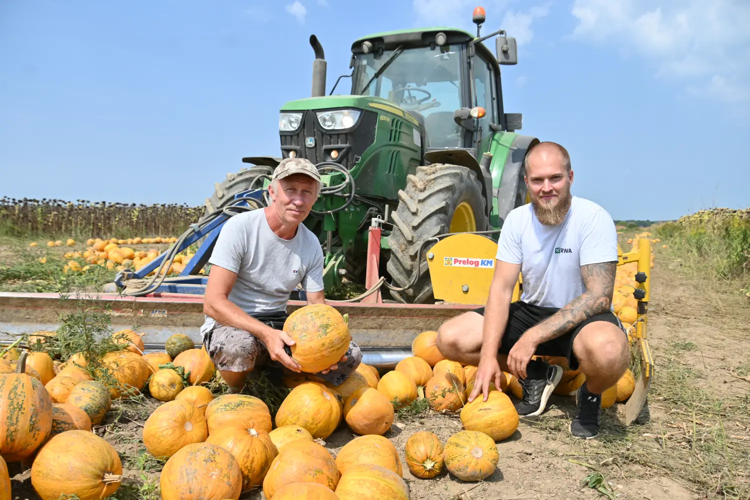 žinić,heđa,tikve (2) žinić,heđa,tikve (2)