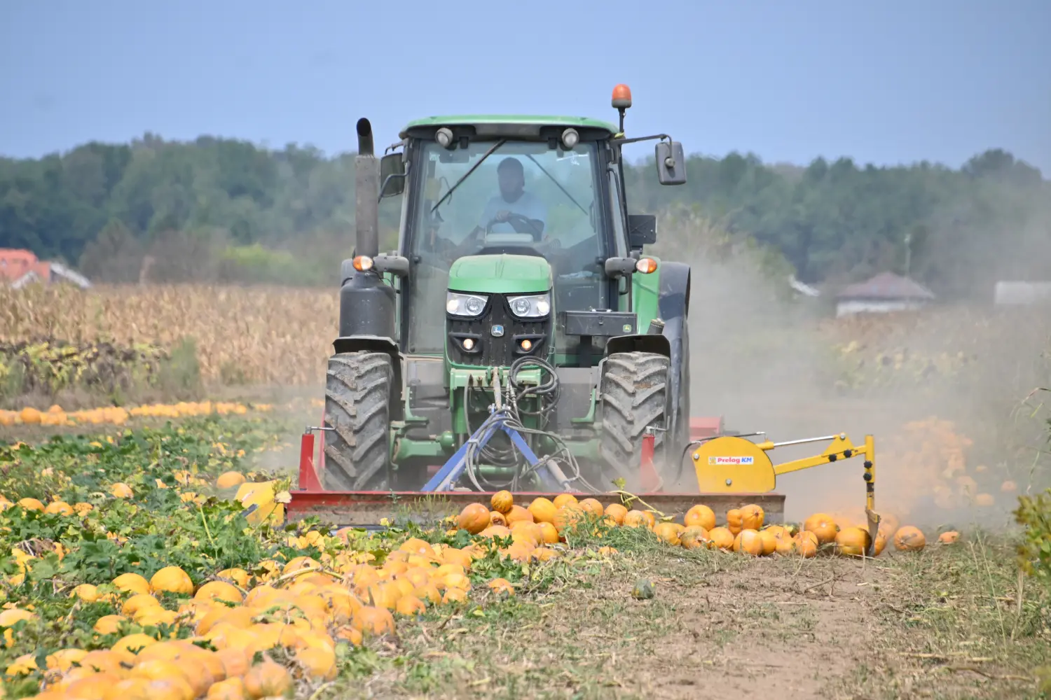 žinić,heđa,tikve (3) žinić,heđa,tikve (3)
