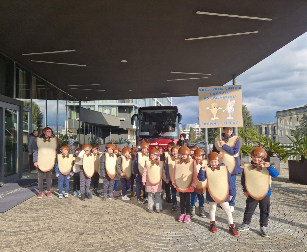 žireki dv cipelica karneval (1)