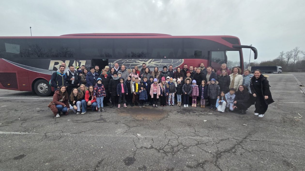 žireki dv cipelica karneval (2)