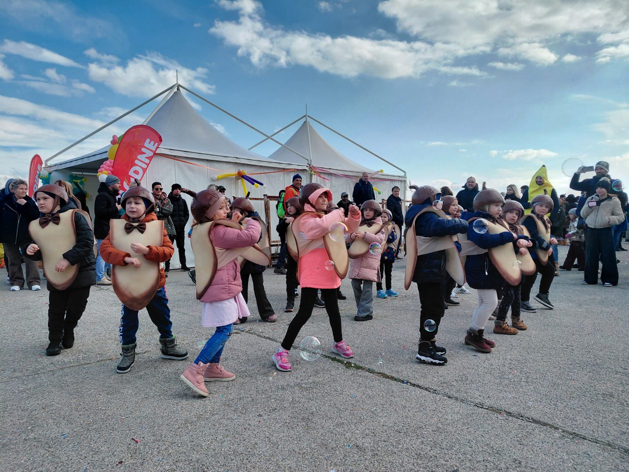 žireki dv cipelica karneval (3)