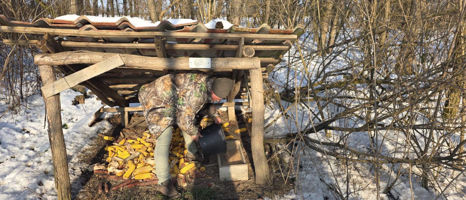 zlatan jambrovic (11)