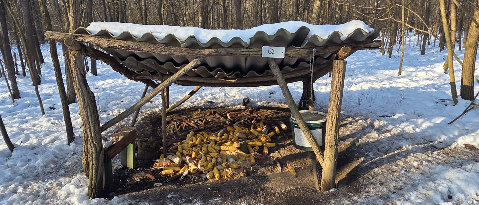 zlatan jambrovic (3)