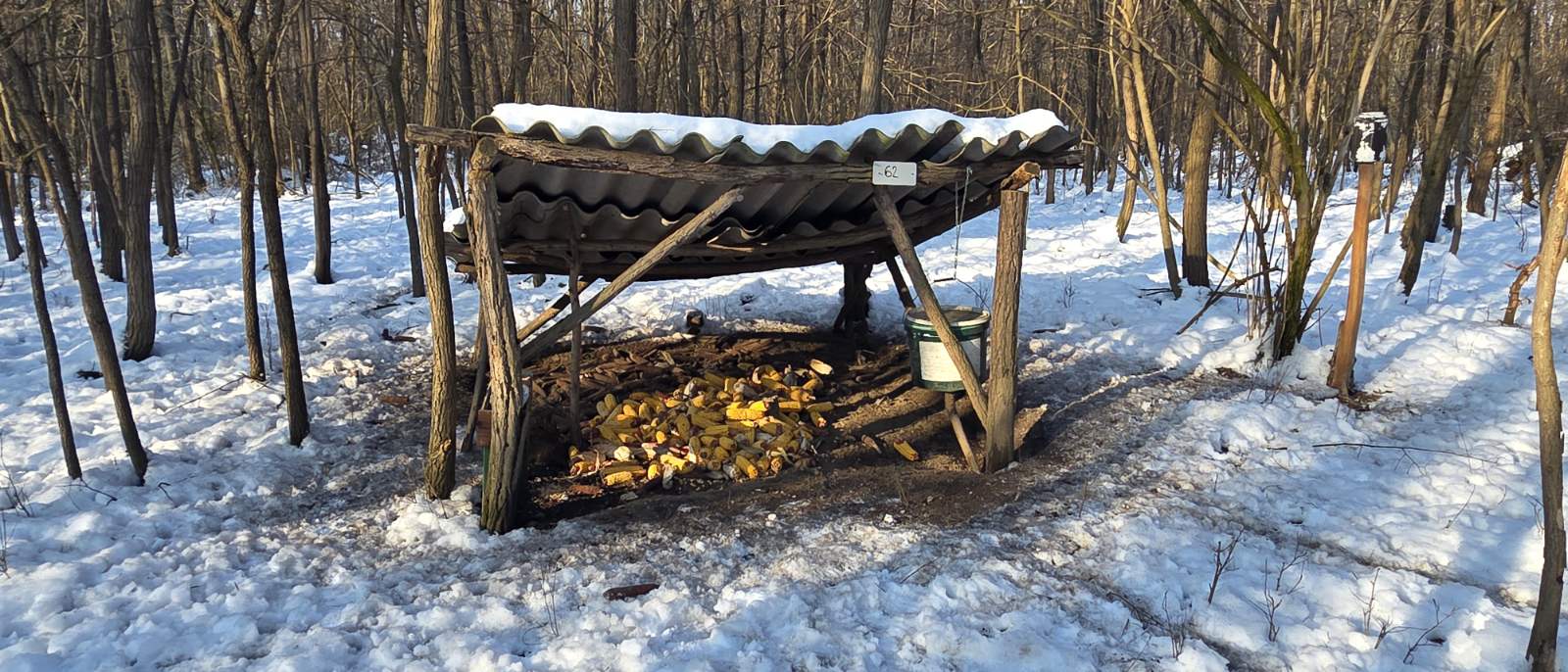 zlatan jambrovic (6)