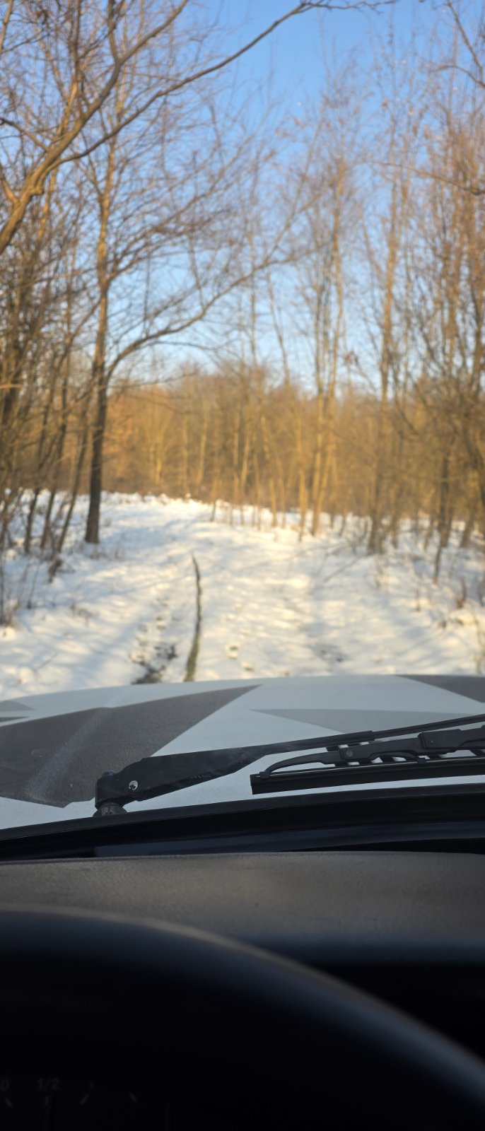 zlatan jambrovic (8)