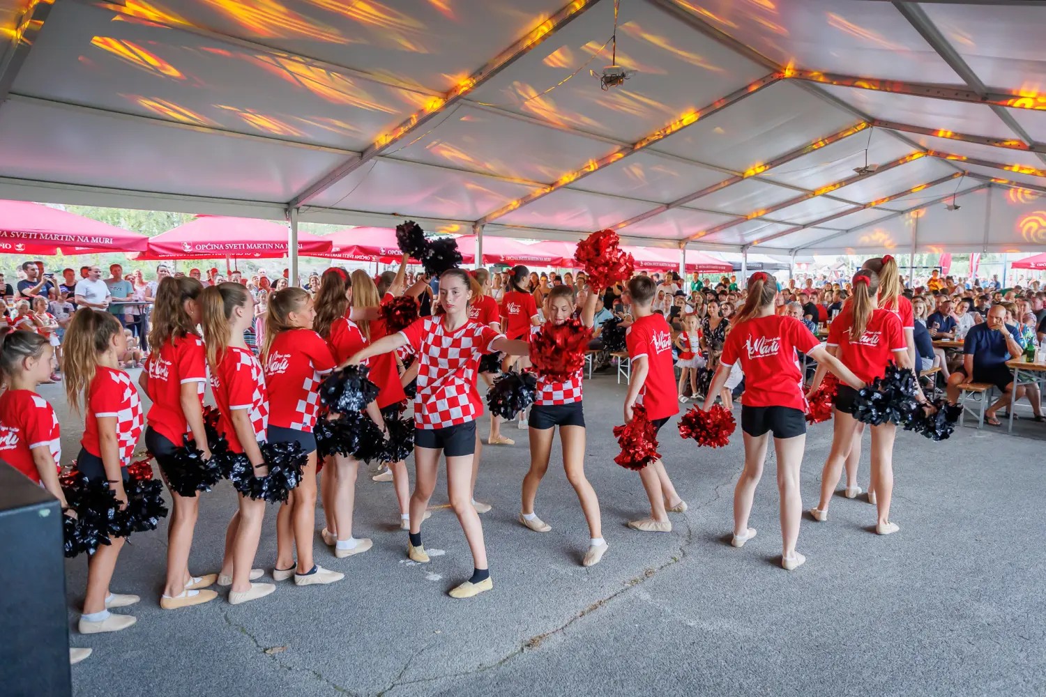 zlatko pejaković sveti martin na muri (15) zlatko pejaković sveti martin na muri (15)