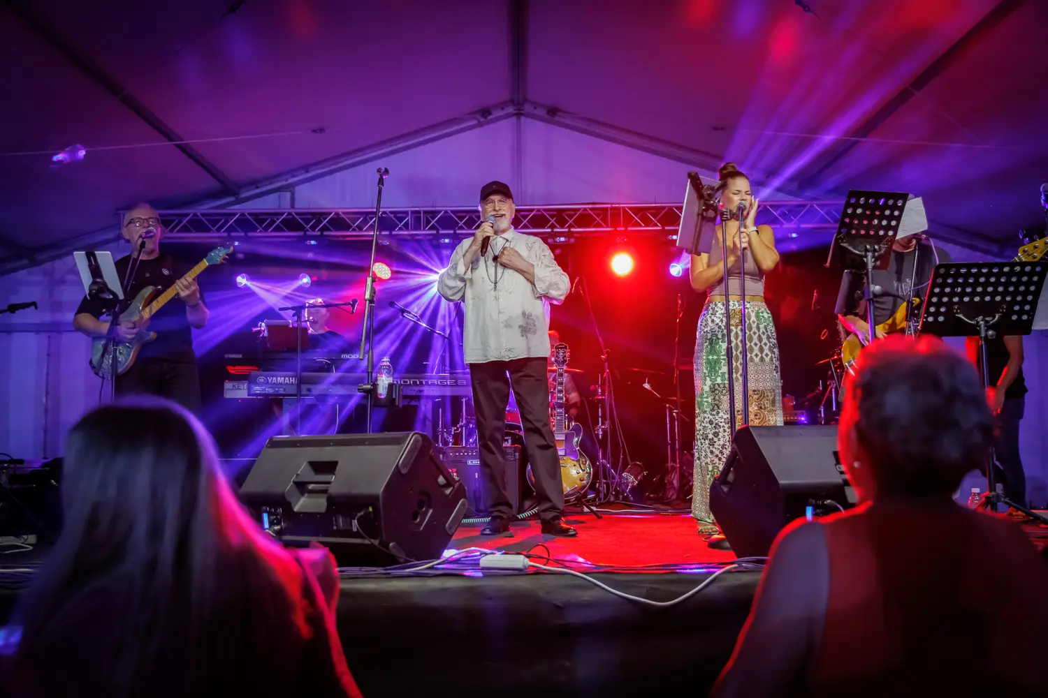 zlatko pejaković sveti martin na muri (61) zlatko pejaković sveti martin na muri (61)