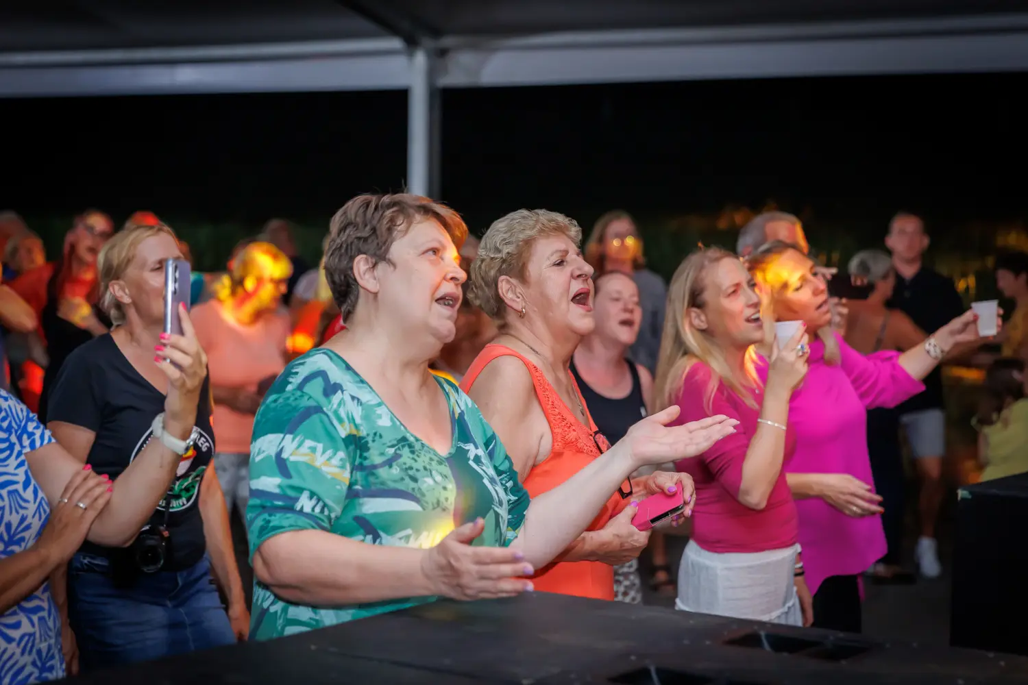 zlatko pejaković sveti martin na muri (62) zlatko pejaković sveti martin na muri (62)