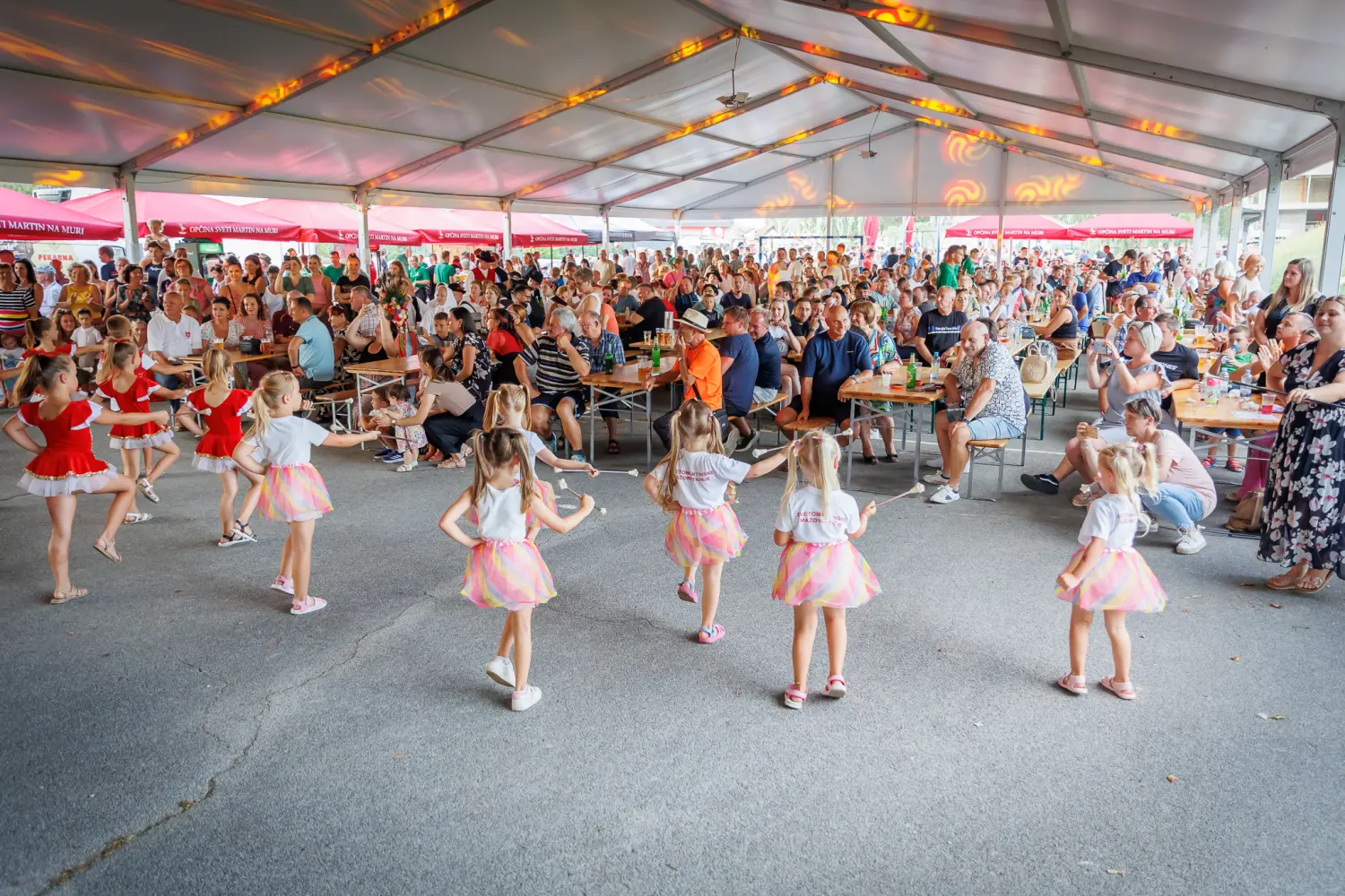 zlatko pejaković sveti martin na muri (7) zlatko pejaković sveti martin na muri (7)