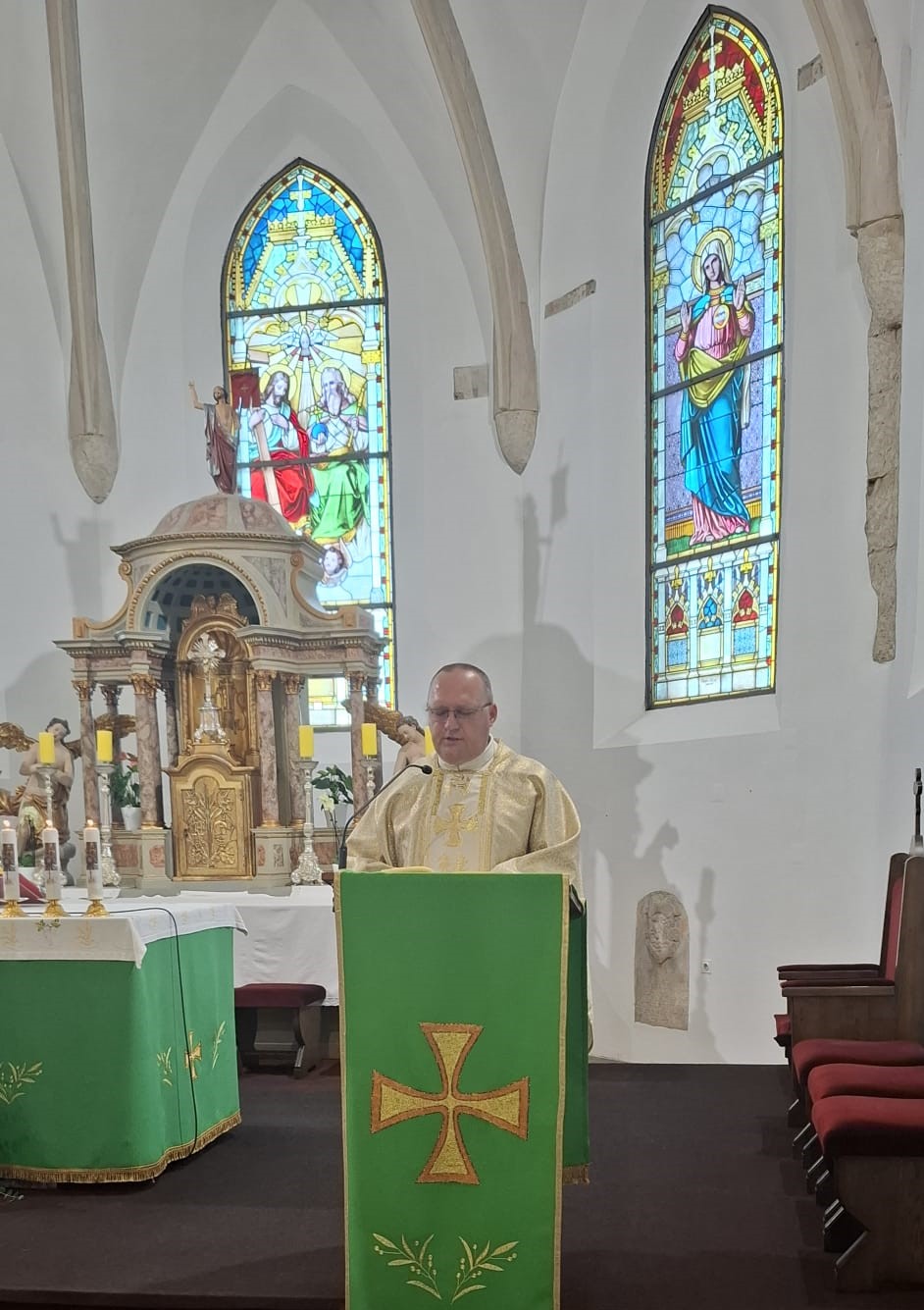 zlatni pir horvat nedelišće (7)