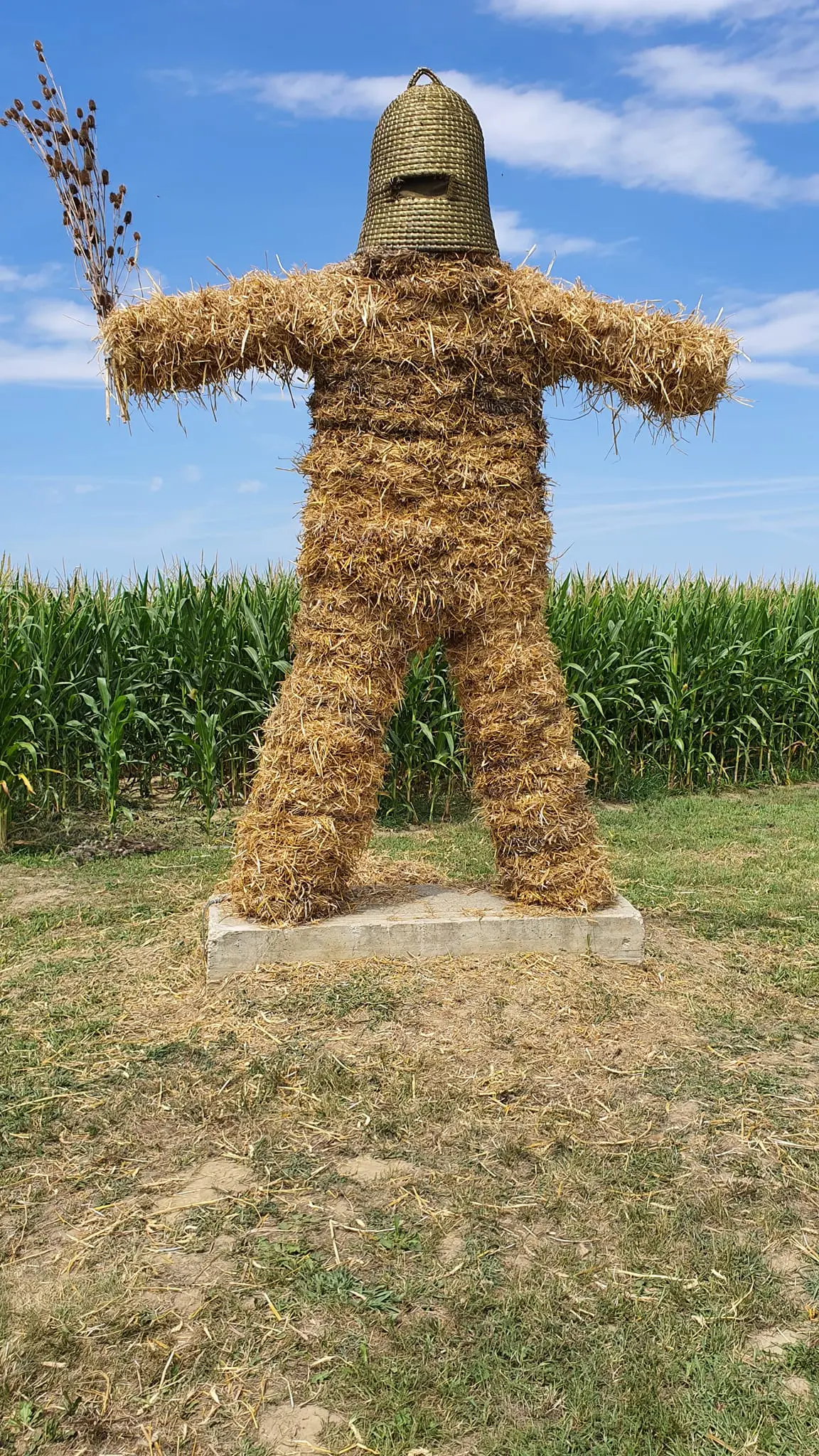 zoran turk (2) zoran turk (2)