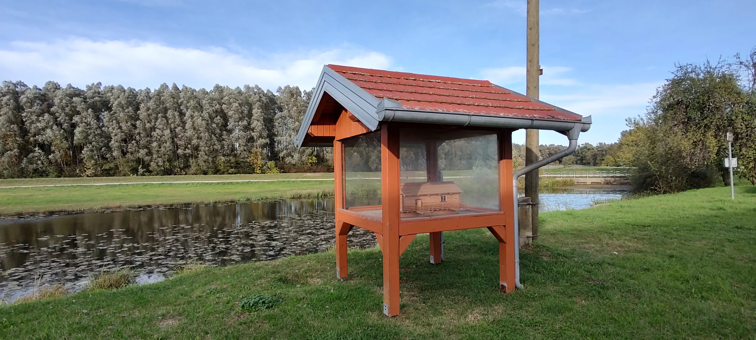 zoran turk (3) zoran turk (3)