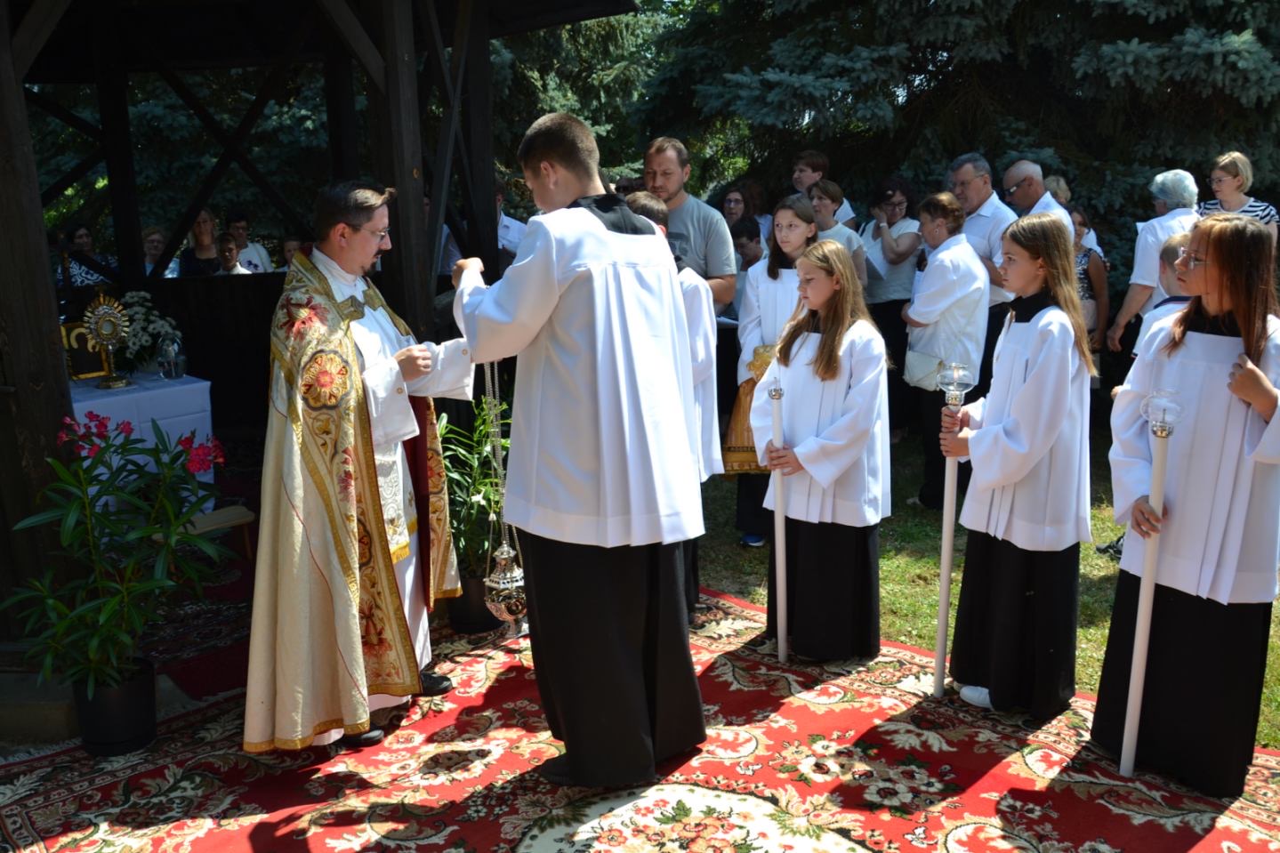 župa sv. jurja u trnju tijelovo 2025 (51) župa sv. jurja u trnju tijelovo 2025 (51)