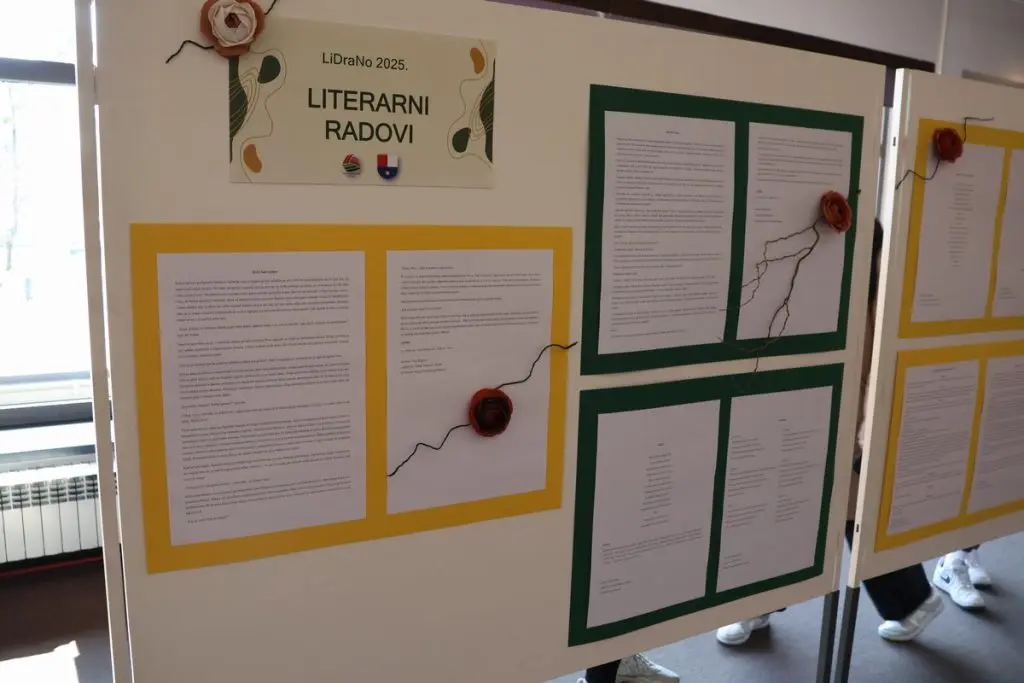 županijska smotra lidrano (5)