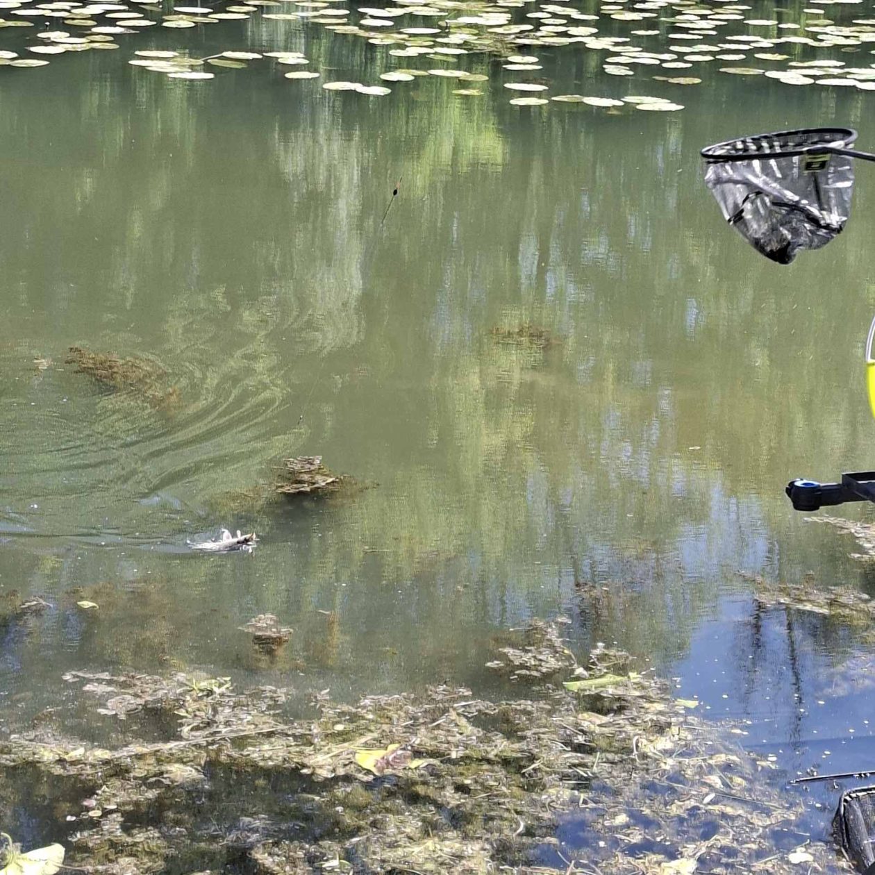 županijski kup u ribolovu (13)